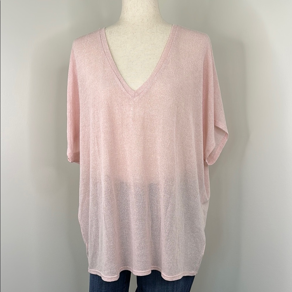 Express Light Pink V-Neck Blouse NWT